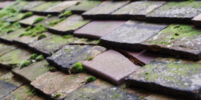 Walters Ash roof repair costs